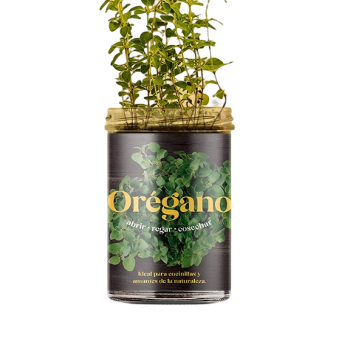 HUERTO DE OREGANO