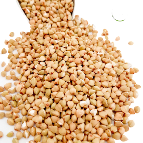 TRIGO SARRACENO 500gr