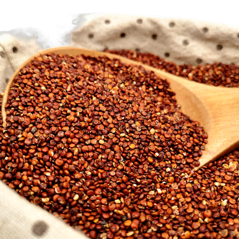 QUINOA ROJA KG IMPORTACION
