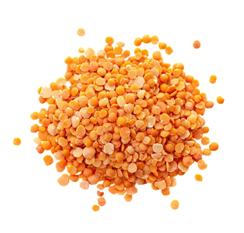 LENTEJA CORAL TURQUIA KG