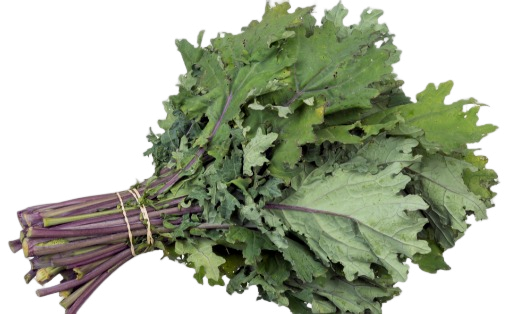 KALE VERDE MANOJO