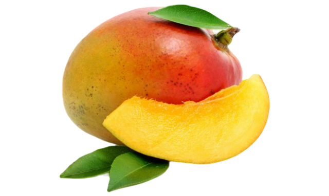 MANGO MALAGA KG