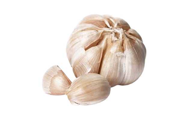 AJO BLANCO KG MALAGA