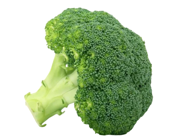 BROCOLI KG MURCIA