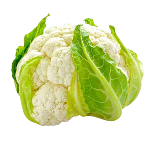 COLIFLOR BLANCA UNIDAD MALAGA