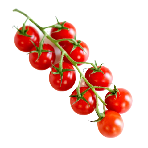 TOMATE CHERRY KG MALAGA