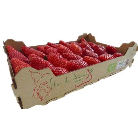 FRESA HUELVA CAJA 1KG ESPAÑA