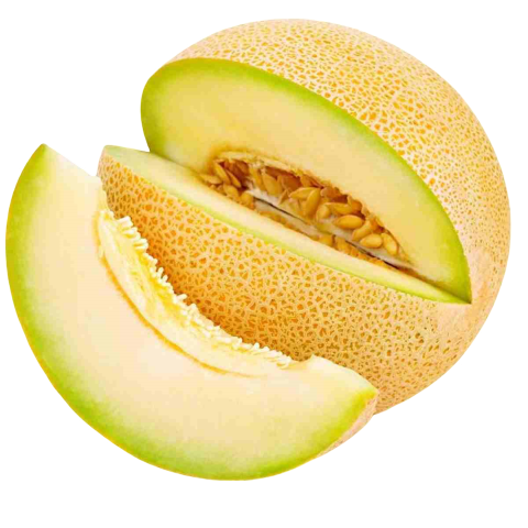 MELON CANTALOUP KG ESPAÑA