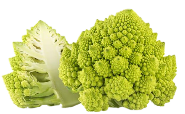 ROMANESCO MALAGA KG