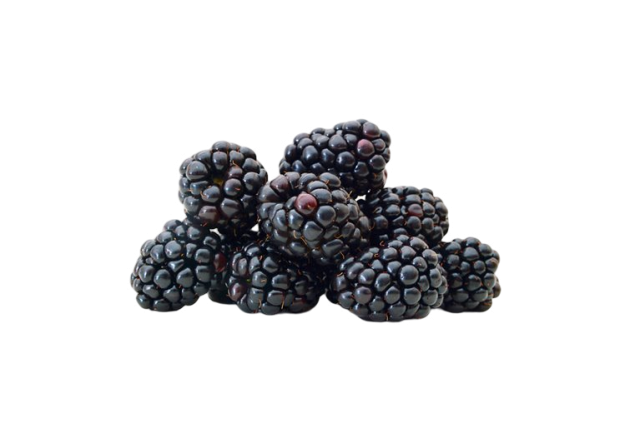 MORAS TARRINA 125 GR ESPAÑA